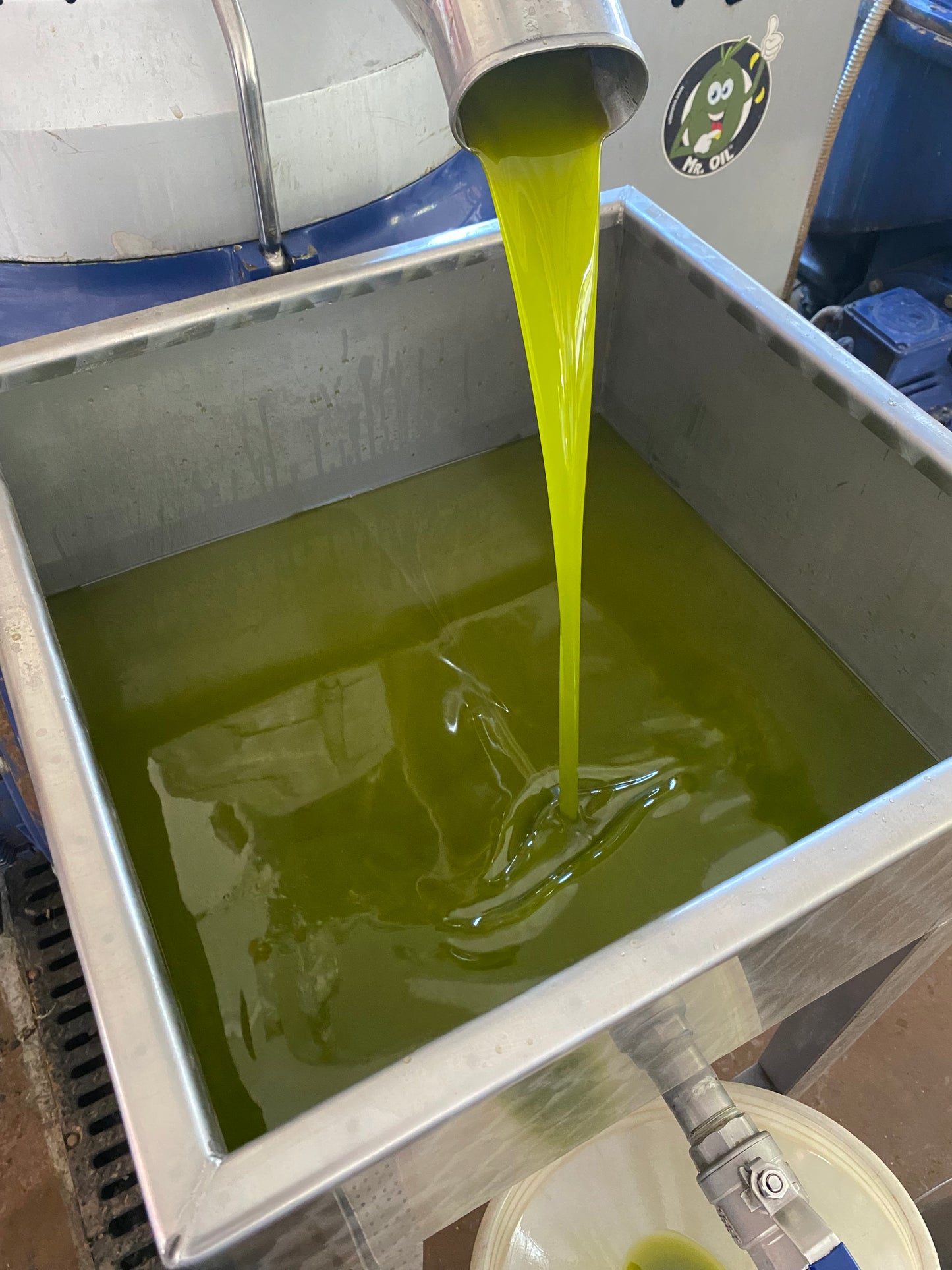 Olio Extravergine di Oliva - Alta Qualità - Bottiglia da 0,25 L